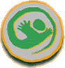Real Federación Aérea Española